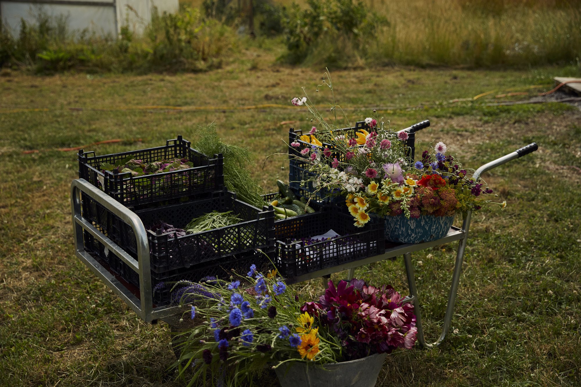 Harvest cart with produce and cut flowers