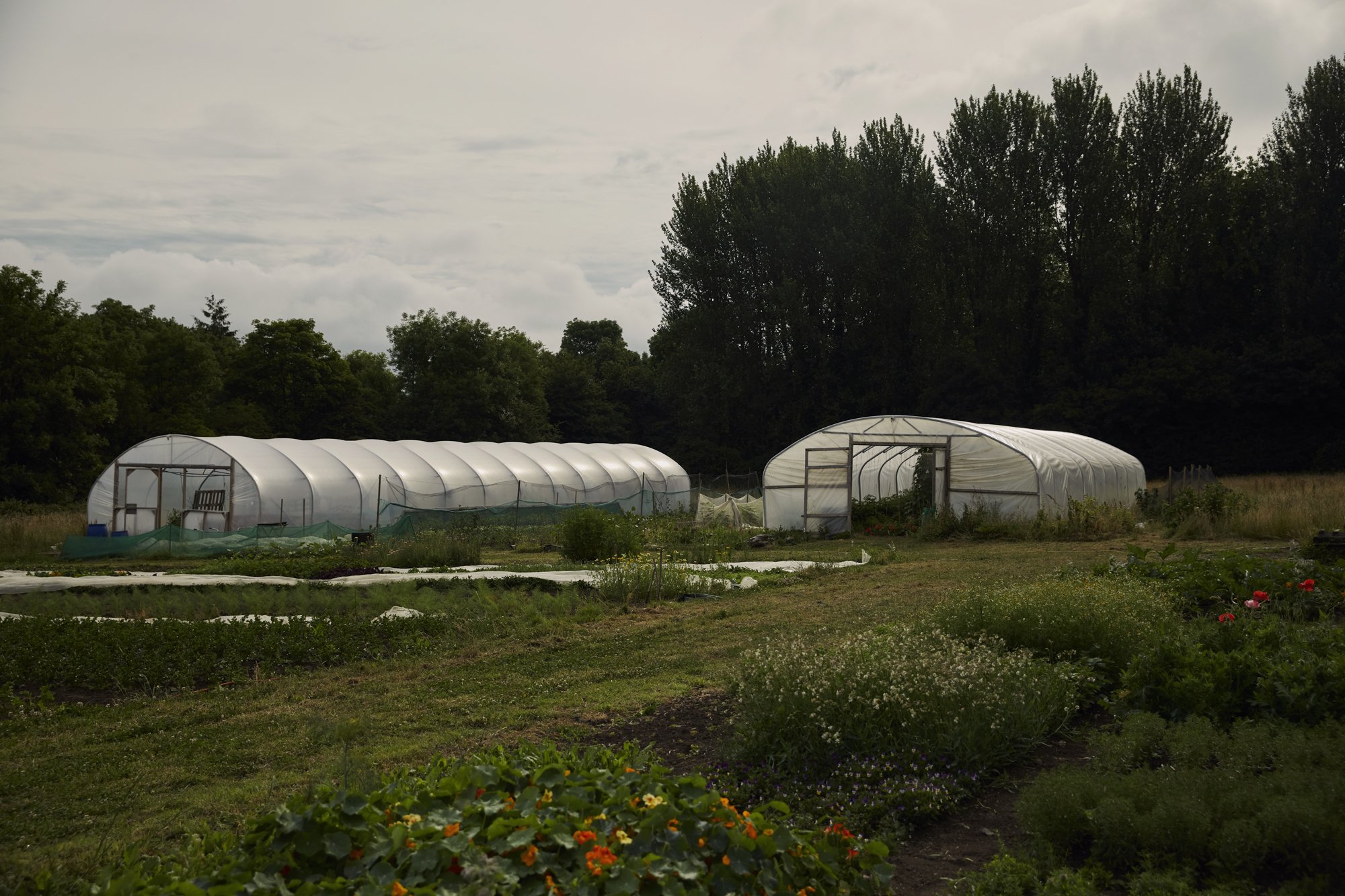 Farm